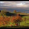 20141113_001
